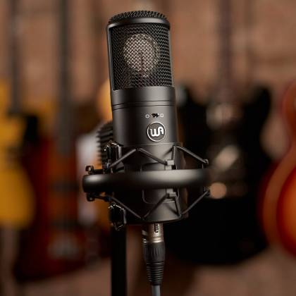 warm audio wa-8000 美品 Warm Audio WA‑8000