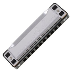 Lee Oskar 1910N-MIN-D - 10 Hole Natural Minor Harmonica Key of D
