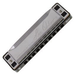 Lee Oskar 1910N-MIN-G - 10 Hole Natural Minor Harmonica Key of G